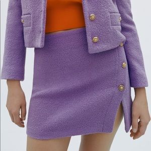ZARA NWT MAUVE LIMITED EDITION BUTTONED SKIRT XS